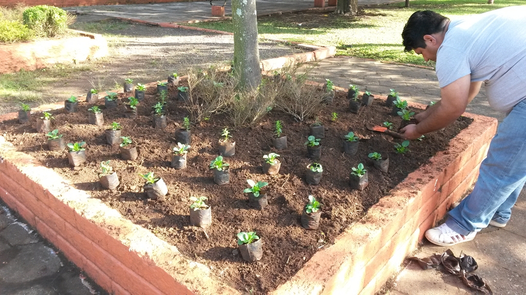 Prefeitura trabalha no embelezamento da praça 